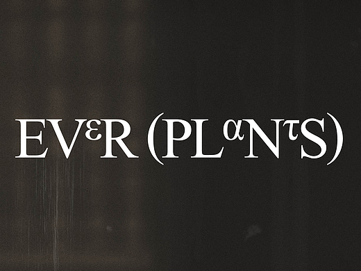 EVERPLANTS- VI及包装设计