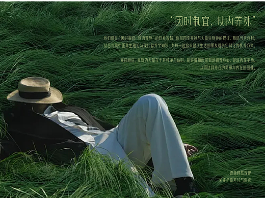 品牌设计 丨 LOGO设计 食养品牌 时内