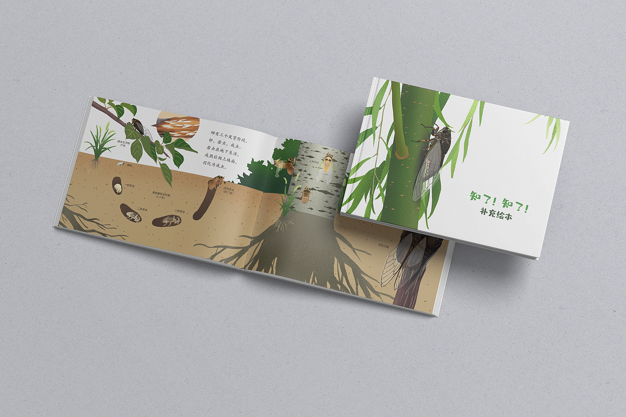 蝉科普绘本（图ZMzg3Mzc5MTAw） - 绘本 - 站酷设计师老米粥原创素材 - 站酷ZCOOL