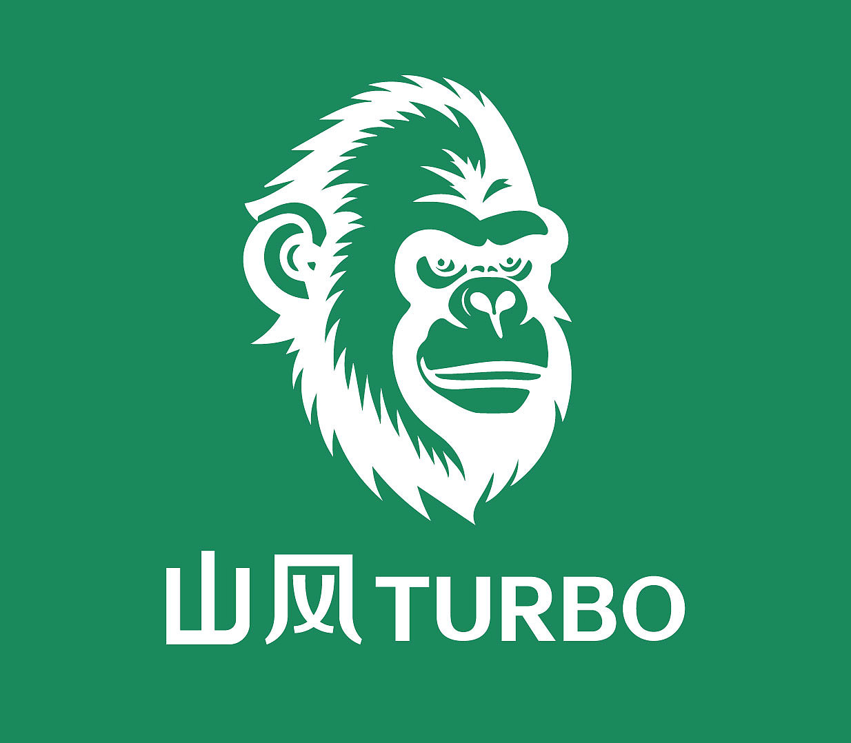 户外新风——“山风 Turbo”(图ZMzg3NDAyMDEy) - Logo - 站酷设计师庄十三品牌研究室原创素材 - 站酷ZCOOL