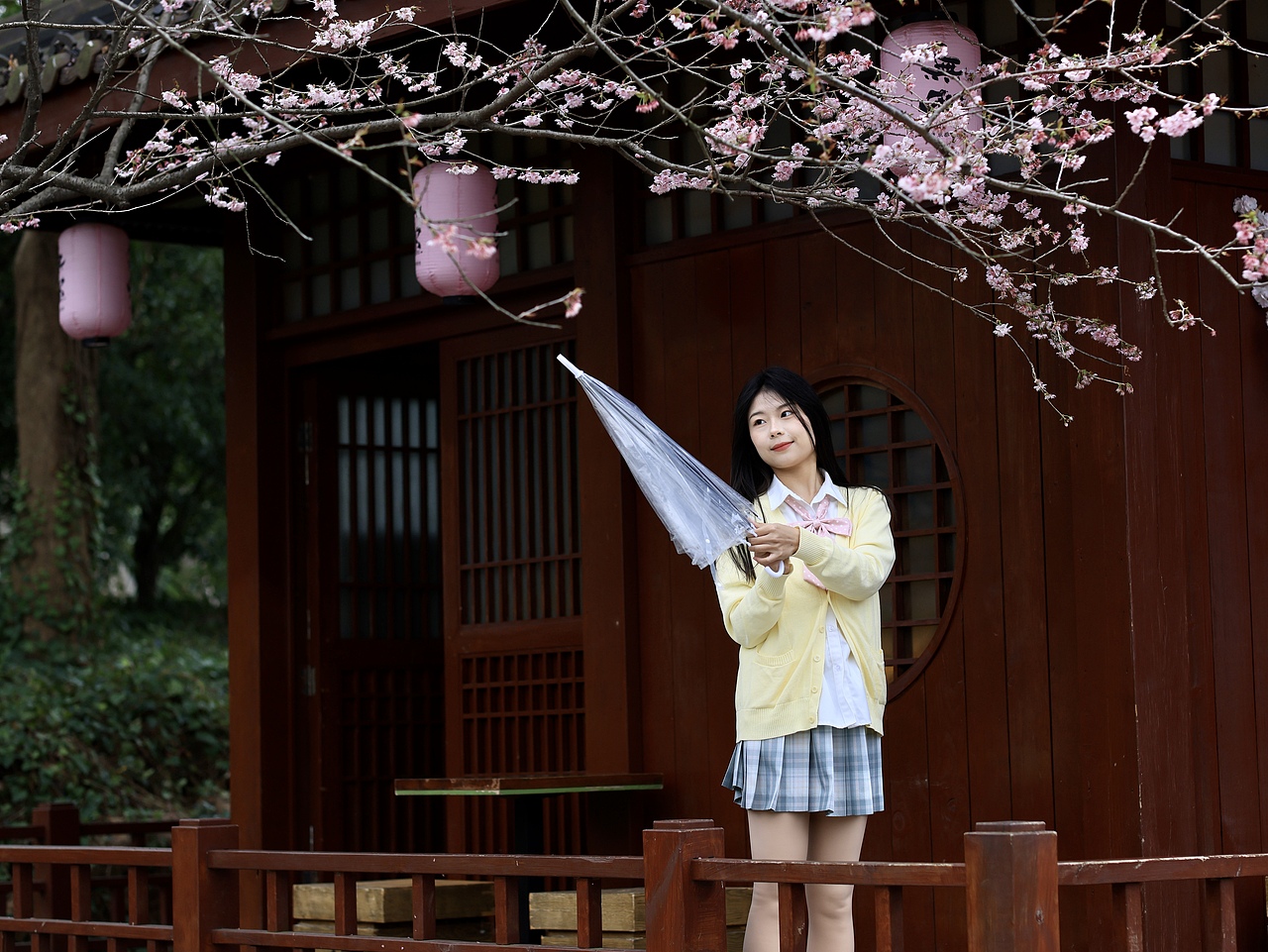 惊蛰后-烫金工艺