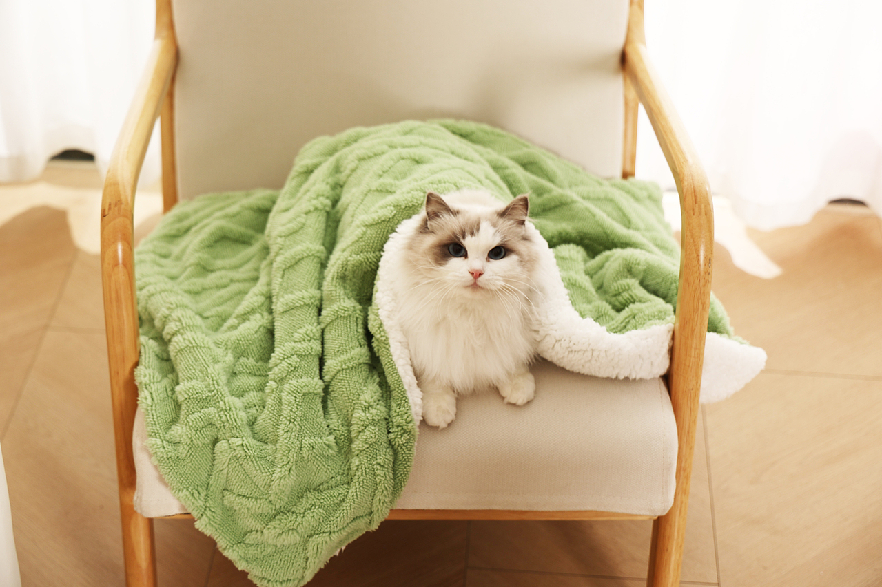 毛毯摄影视频拍摄制作详情设计产品静物拍照亚马逊主图（图ZMzg3NDI0Njky） - 产品摄影 - 站酷设计师零晨视觉摄影原创素材 - 站酷ZCOOL