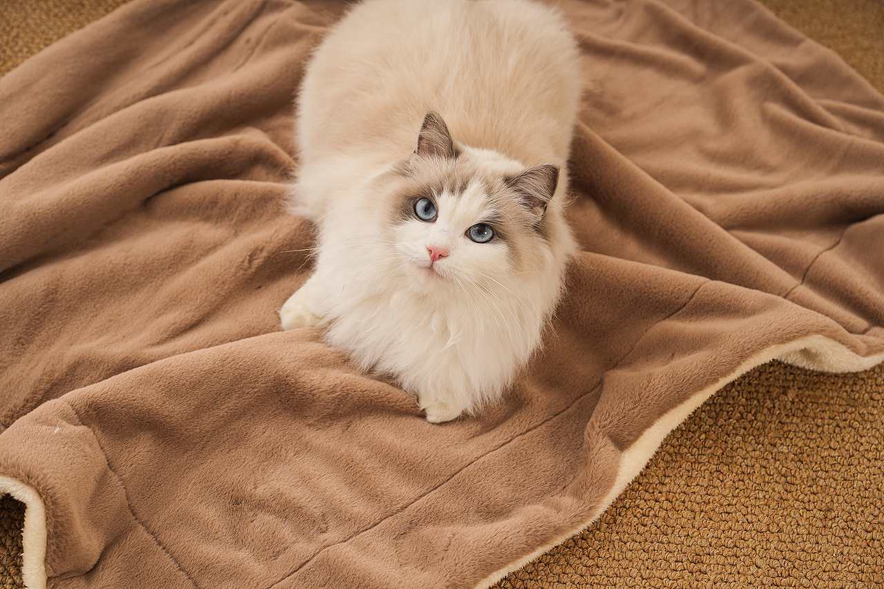 毛毯摄影视频拍摄制作详情设计产品静物拍照亚马逊主图（图ZMzg3NDI0Njk2） - 产品摄影 - 站酷设计师零晨视觉摄影原创素材 - 站酷ZCOOL