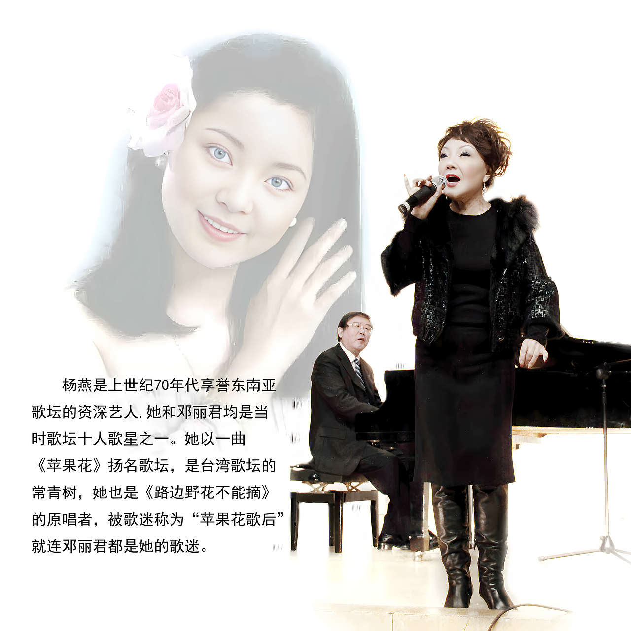 台湾与邓丽君同代的女歌手杨燕（图ZMzg3NDI3NTIw） - 人像摄影 - 站酷设计师上海老夫子原创素材 - 站酷ZCOOL