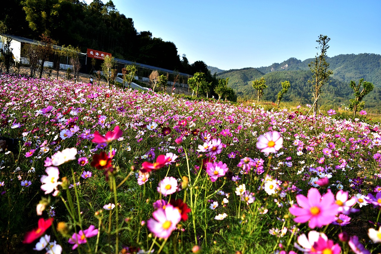 【往日旧事】2017年11月03日，英德采风（图ZMzg3NDQ0ODc2） - 风光摄影 - 站酷设计师DM_东原创素材 - 站酷ZCOOL