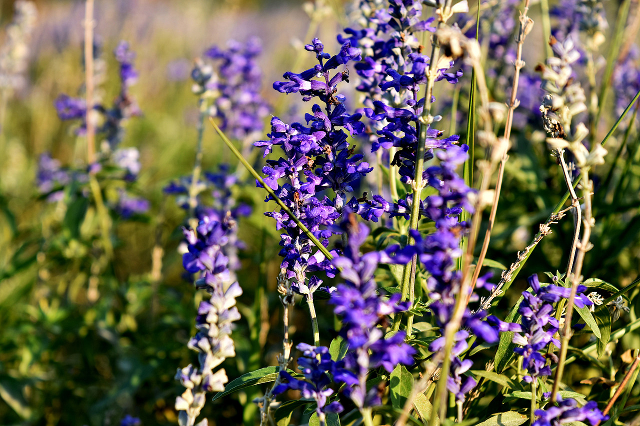 【往日旧事】2017年11月03日，英德采风（图ZMzg3NDQ0OTEy） - 风光摄影 - 站酷设计师DM_东原创素材 - 站酷ZCOOL