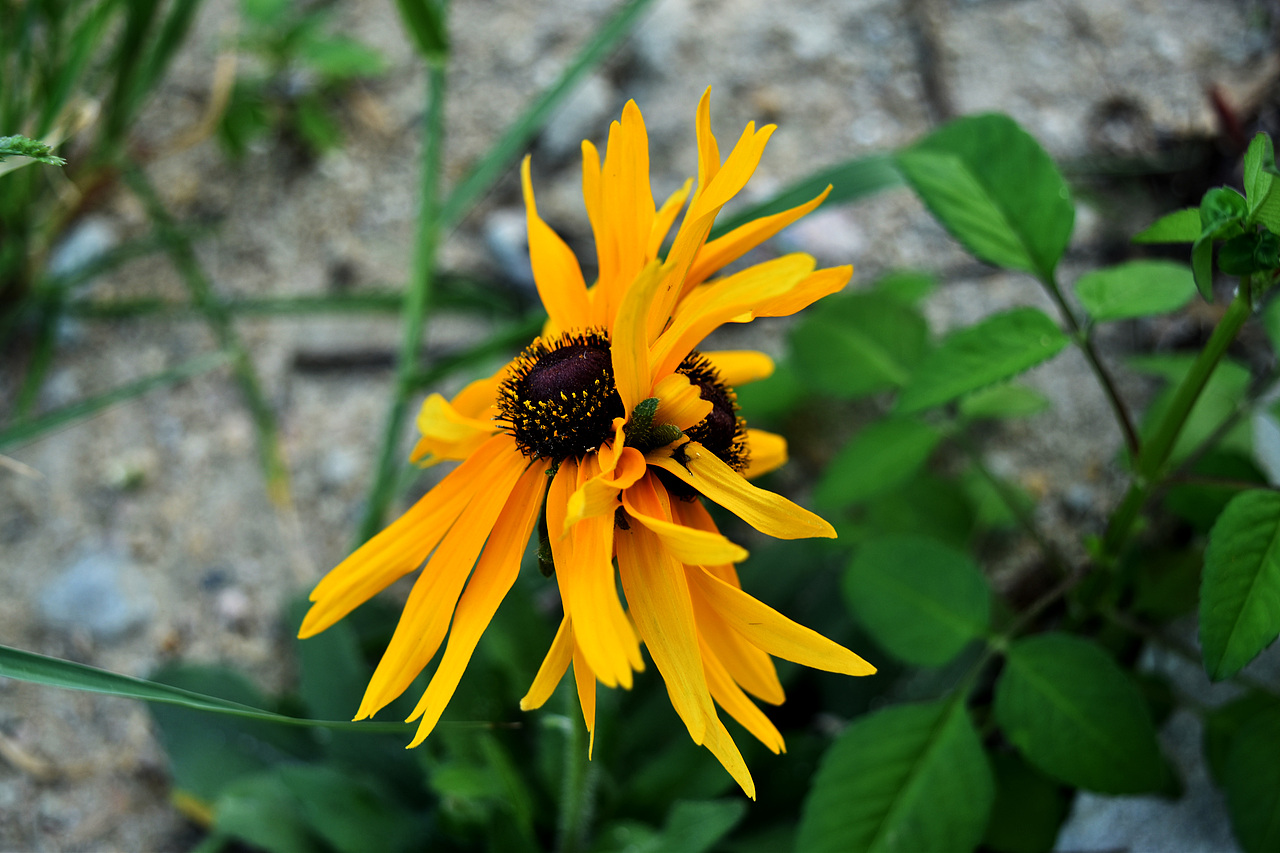 【往日旧事】2017年11月03日，英德采风（图ZMzg3NDQ0ODg4） - 风光摄影 - 站酷设计师DM_东原创素材 - 站酷ZCOOL