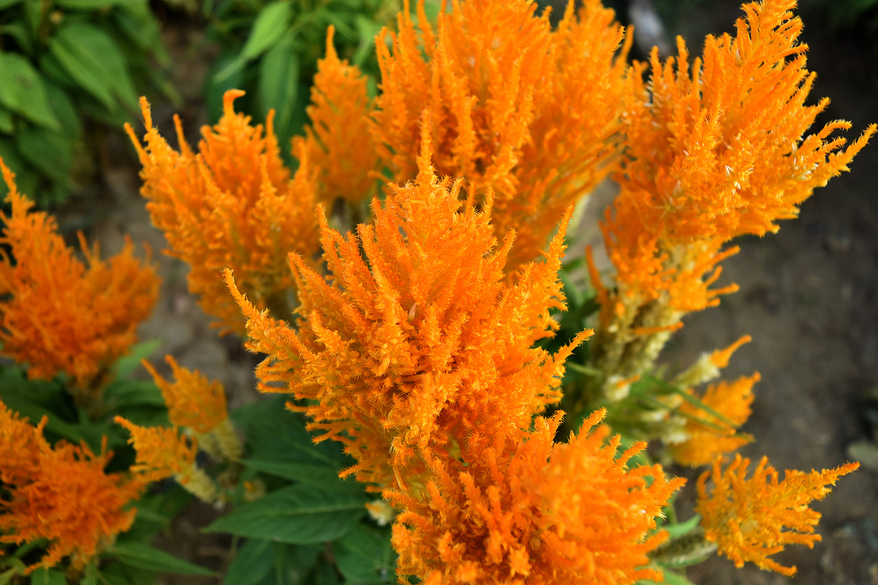 【往日旧事】2017年11月03日，英德采风（图ZMzg3NDQ0OTIw） - 风光摄影 - 站酷设计师DM_东原创素材 - 站酷ZCOOL