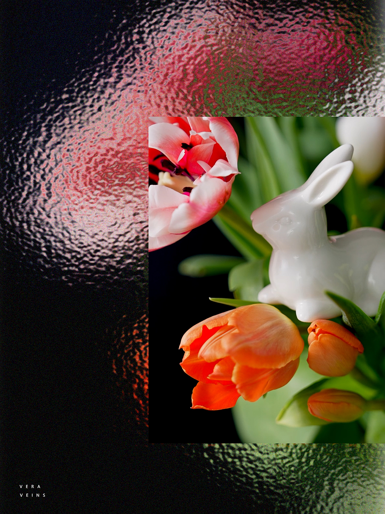 服装摄影/视频拍摄/创意拍摄/视频剪辑/海报设计（图ZMzg3NDUwNTAw） - 产品摄影 - 站酷设计师苏打西柚原创素材 - 站酷ZCOOL