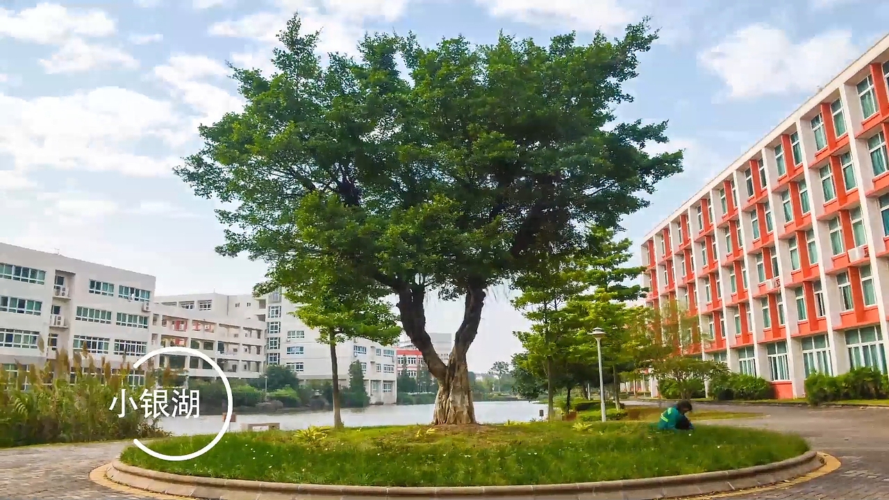 第一次参加学校第四届微电影大赛--微视频，荣获一等奖（图ZMzg3NDUyNTI0） - 宣传片 - 站酷设计师Juan的设计日常原创素材 - 站酷ZCOOL