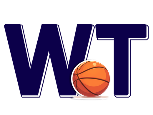 WT字母体育风格logo