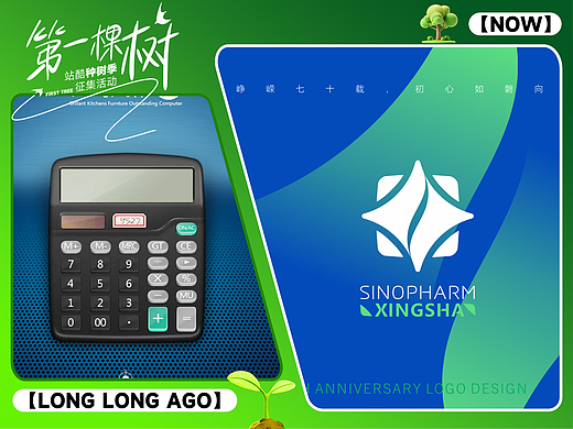 11年前,我在站酷种下的第一棵树