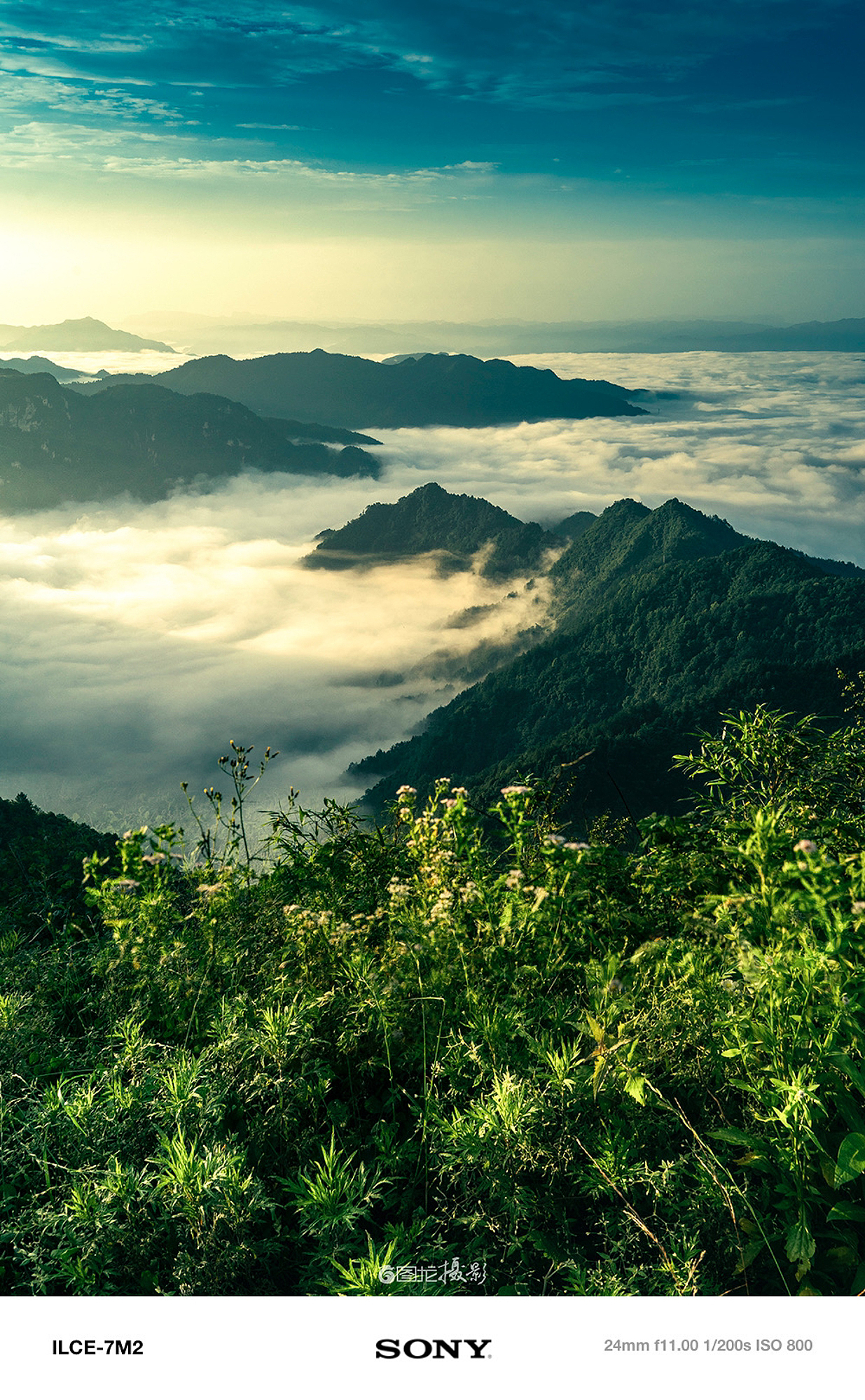 每一帧都是爱：记录沿途的感动与美好