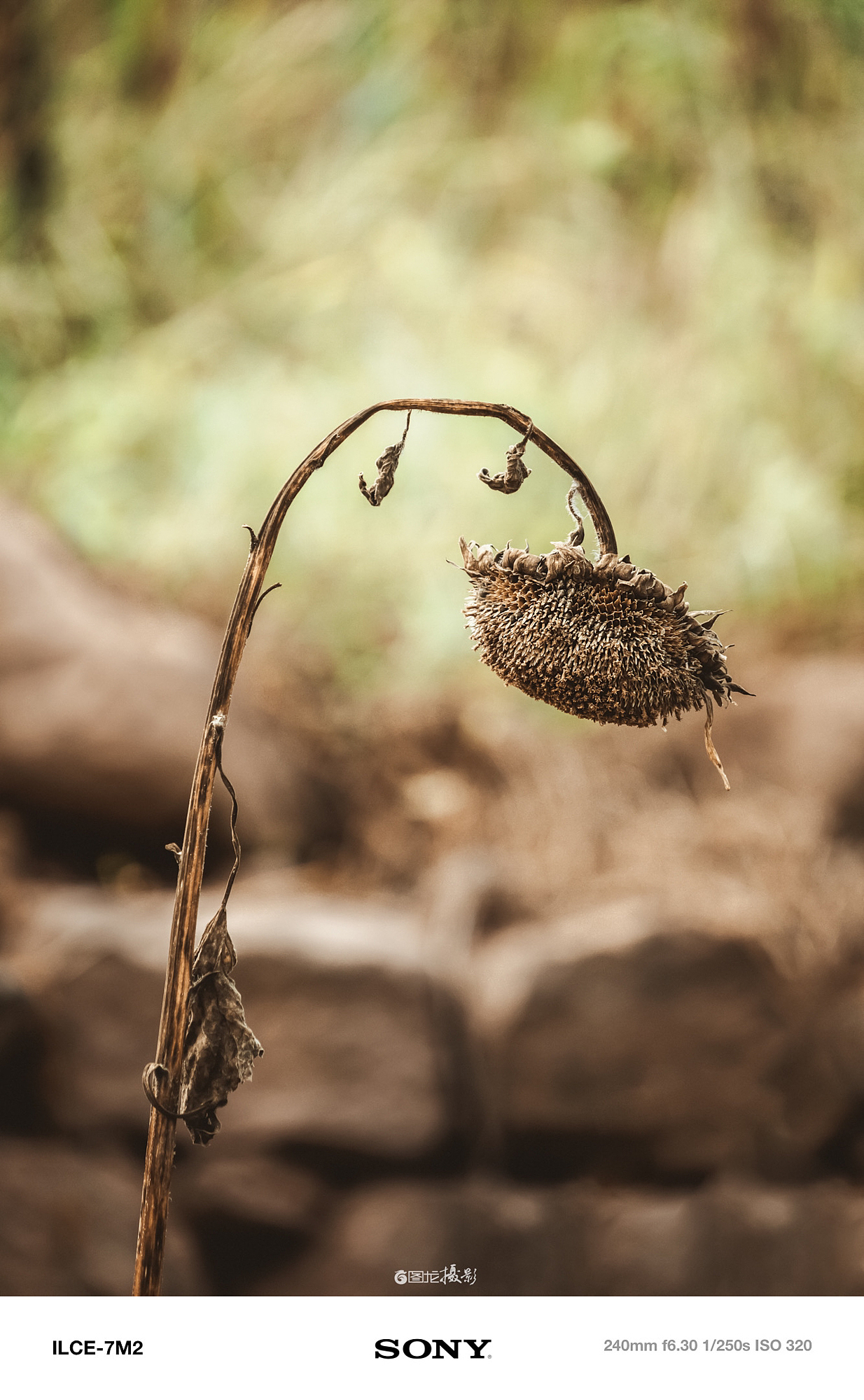 每一帧都是爱：记录沿途的感动与美好