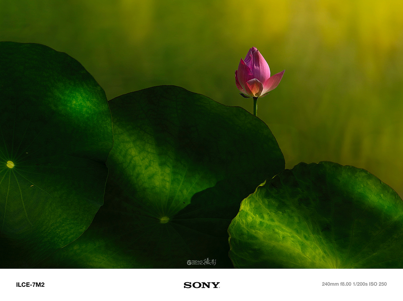 每一帧都是爱：记录沿途的感动与美好