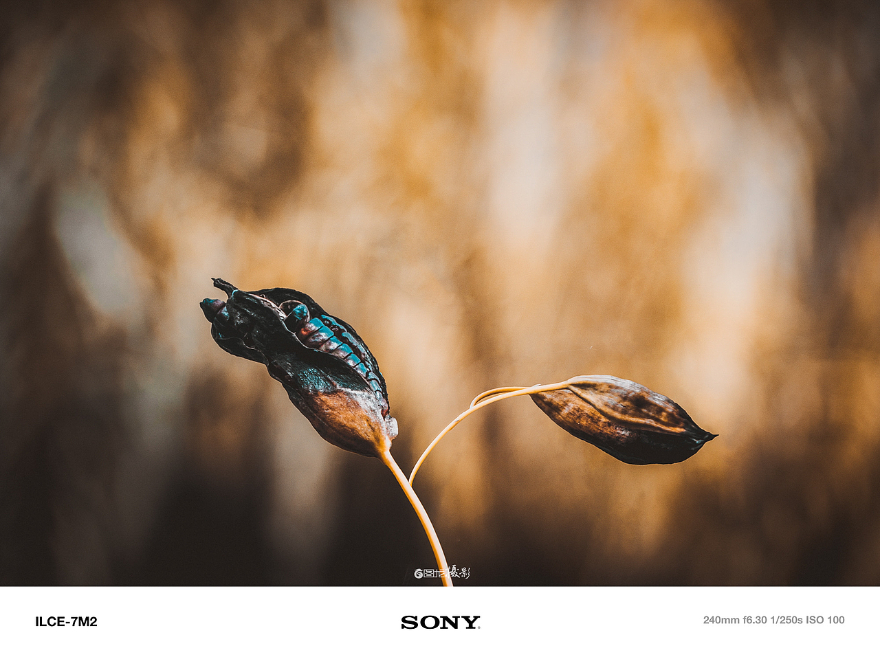 每一帧都是爱：记录沿途的感动与美好