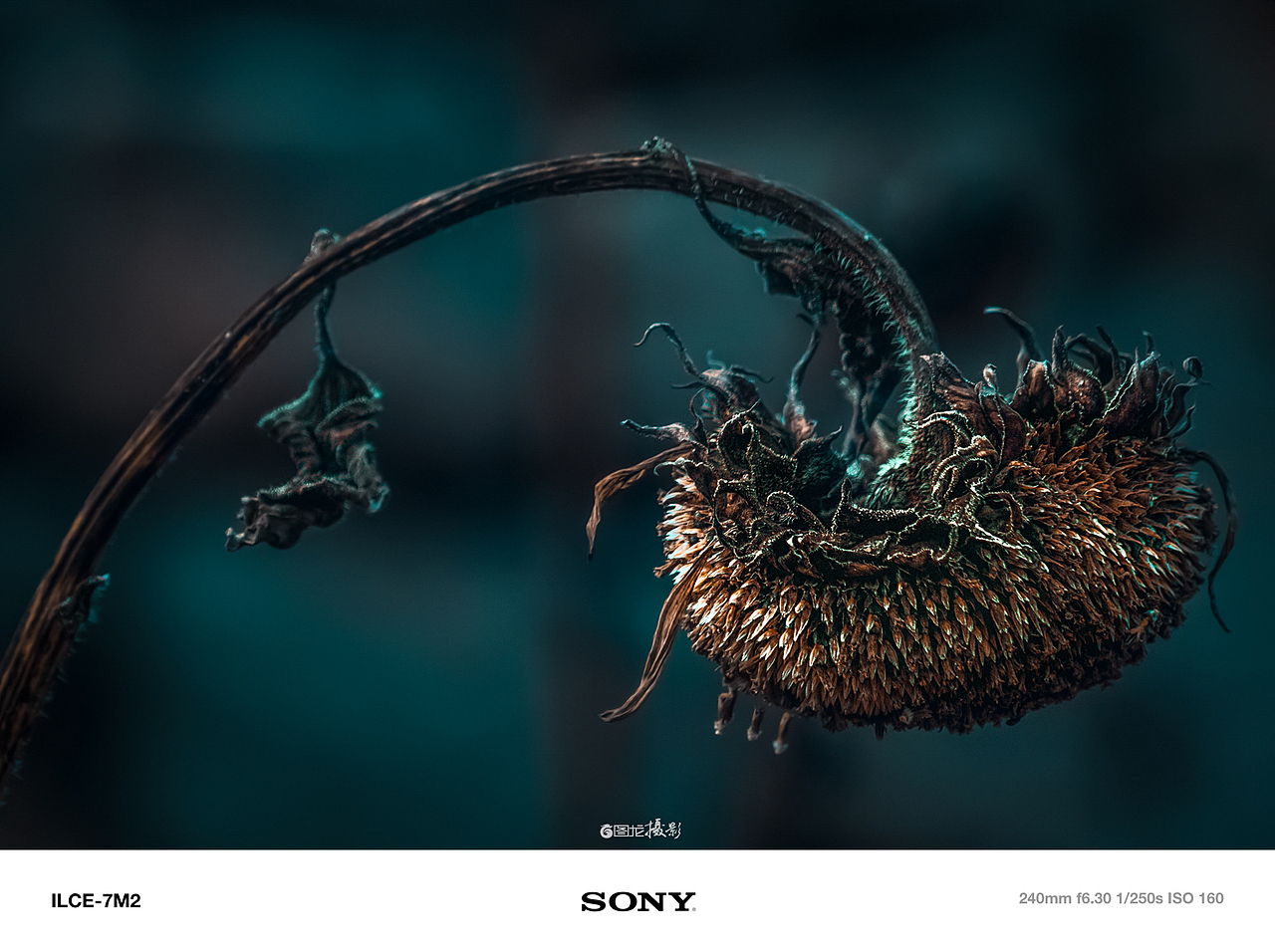 每一帧都是爱：记录沿途的感动与美好