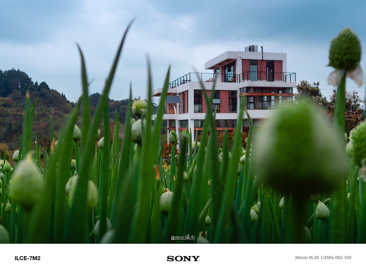 每一帧都是爱：记录沿途的感动与美好