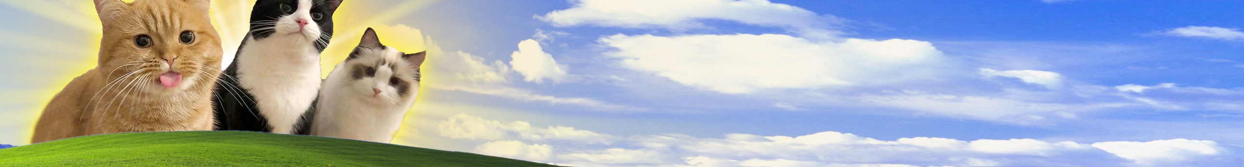 小李玩設計的個人主頁（封面預覽） - 主頁封面設置 - 站酷設計師小李玩設計原創(chuàng)素材 - 站酷ZCOOL