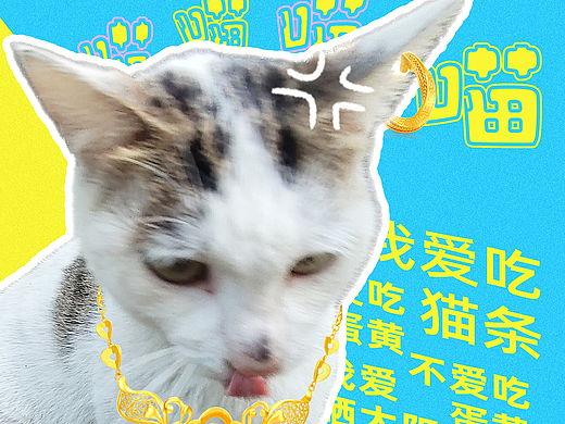 猫腻（个人主页-ZNzE1ODk0OTI=） - 海报 - 站酷设计师sunny121110原创素材 - 站酷ZCOOL