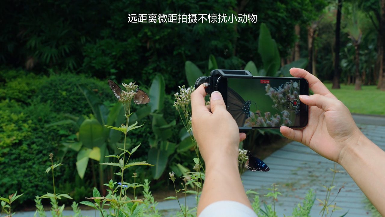 长焦微距镜头视频