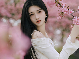 樱花如诗