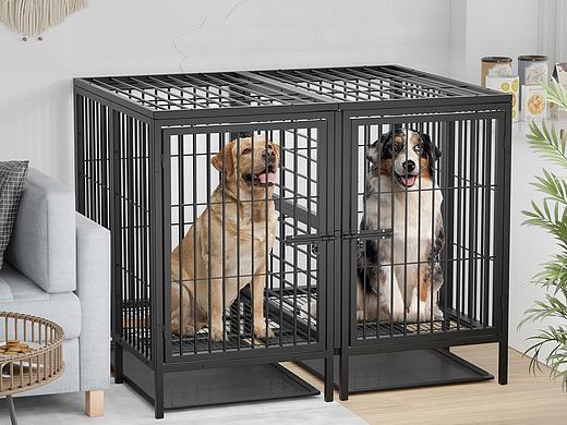 宠物产品场景渲染