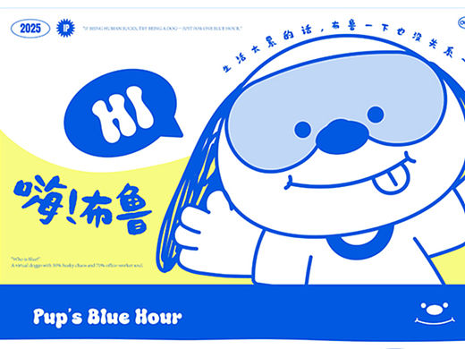 IP设计——嗨！布鲁 