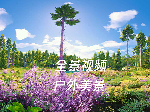 场景全景视频 适配 vr大空间 vr眼镜  虚拟现实 元宇宙