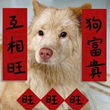 品牌设计师小静静的头像