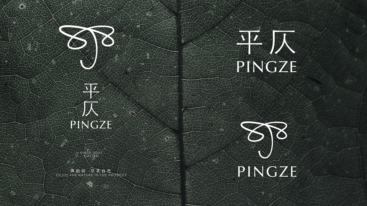 平仄 | PINGZE（图ZMzg3NTkzMjUy） - 品牌 - 站酷设计师RuZhengyang原创素材 - 站酷ZCOOL