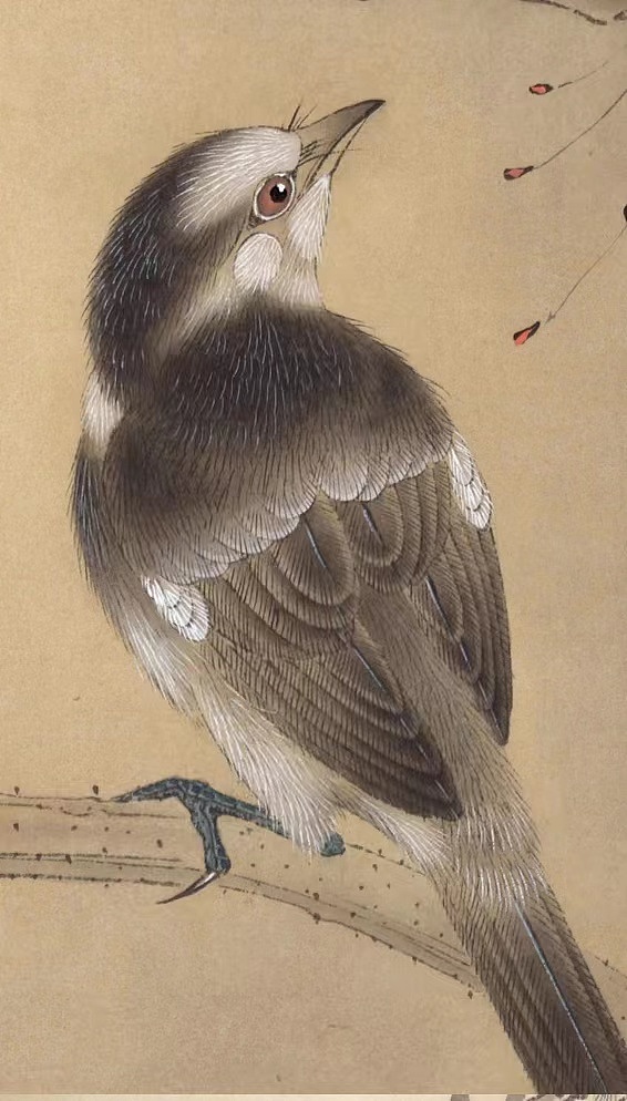 工笔花鸟细节图