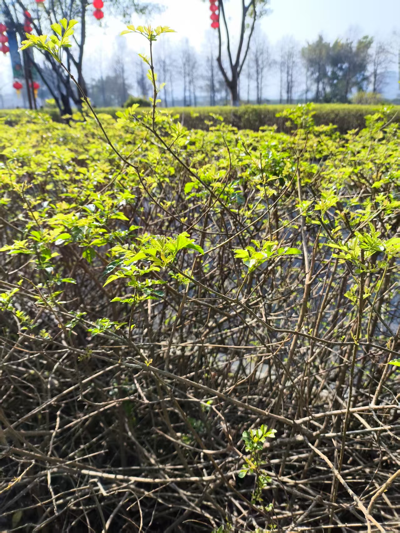 游活的个人主页（封面预览） - 主页封面设置 - 站酷设计师游活原创素材 - 站酷ZCOOL