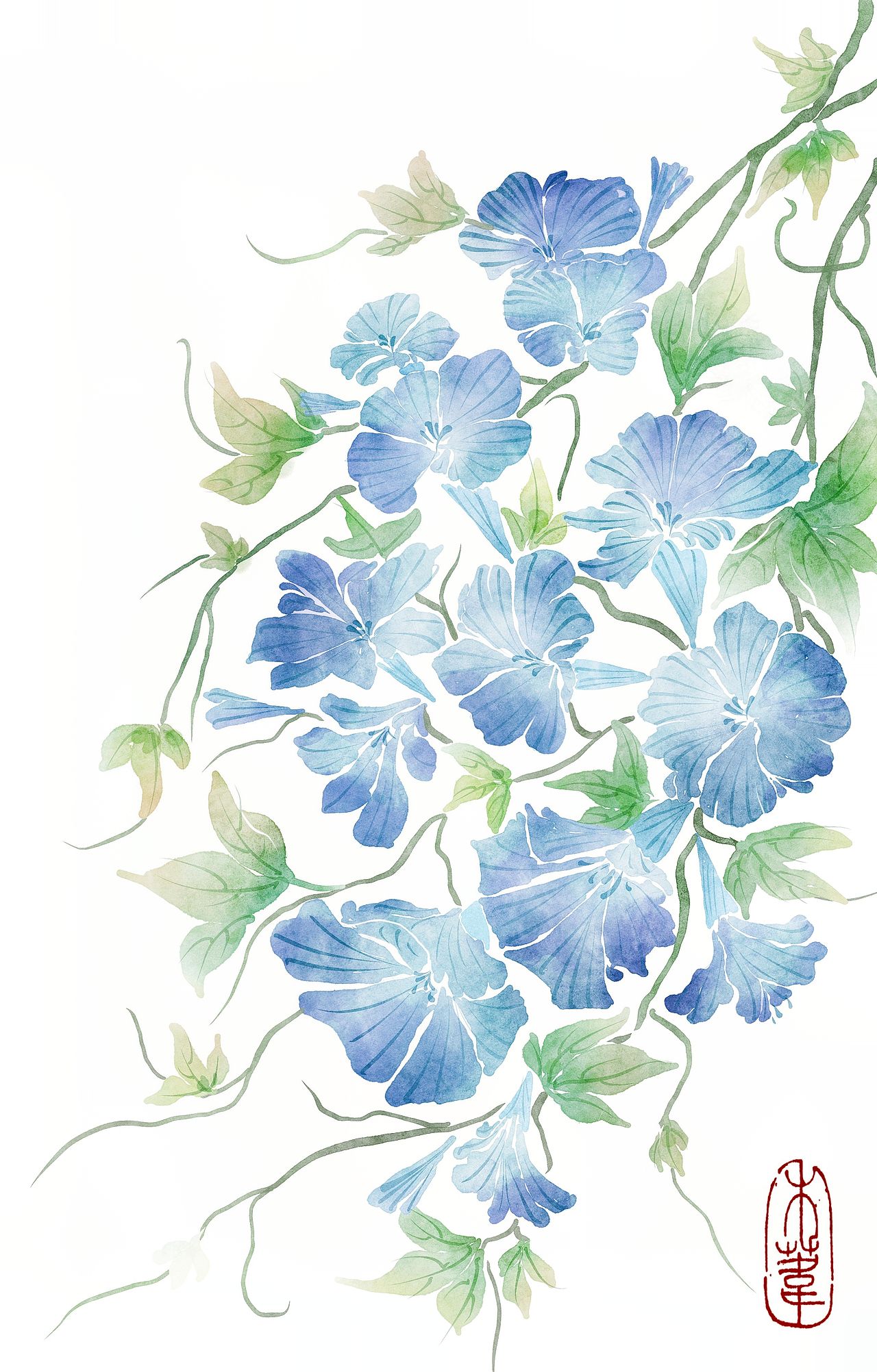 水彩牵牛花（图ZMzg3NjI5MDM2） - 商业插画 - 站酷设计师禾苇原创素材 - 站酷ZCOOL