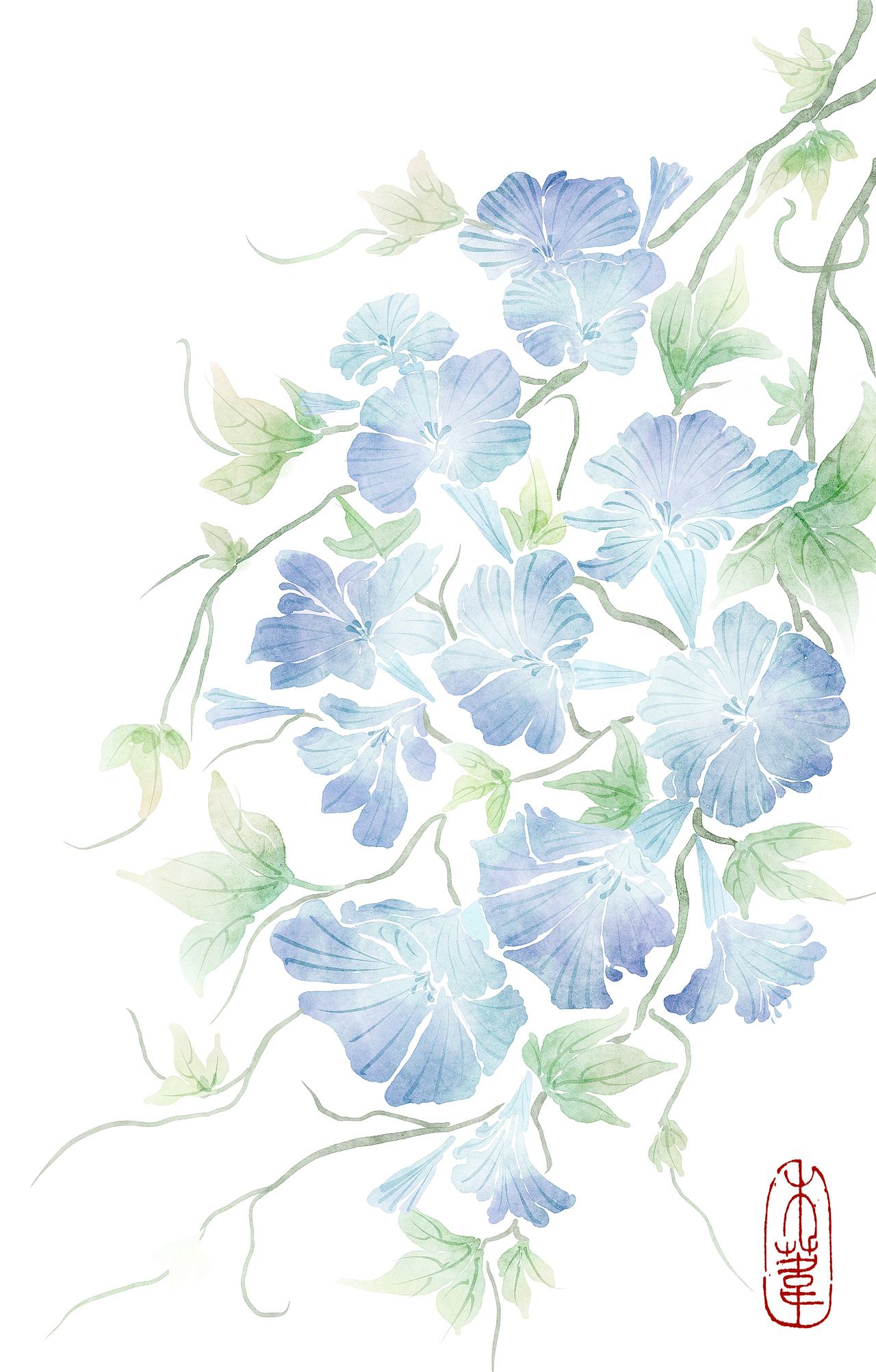 水彩牵牛花（图ZMzg3NjI5MDQw） - 商业插画 - 站酷设计师禾苇原创素材 - 站酷ZCOOL