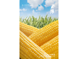 大像|DA XIANG | 甜心玉米
