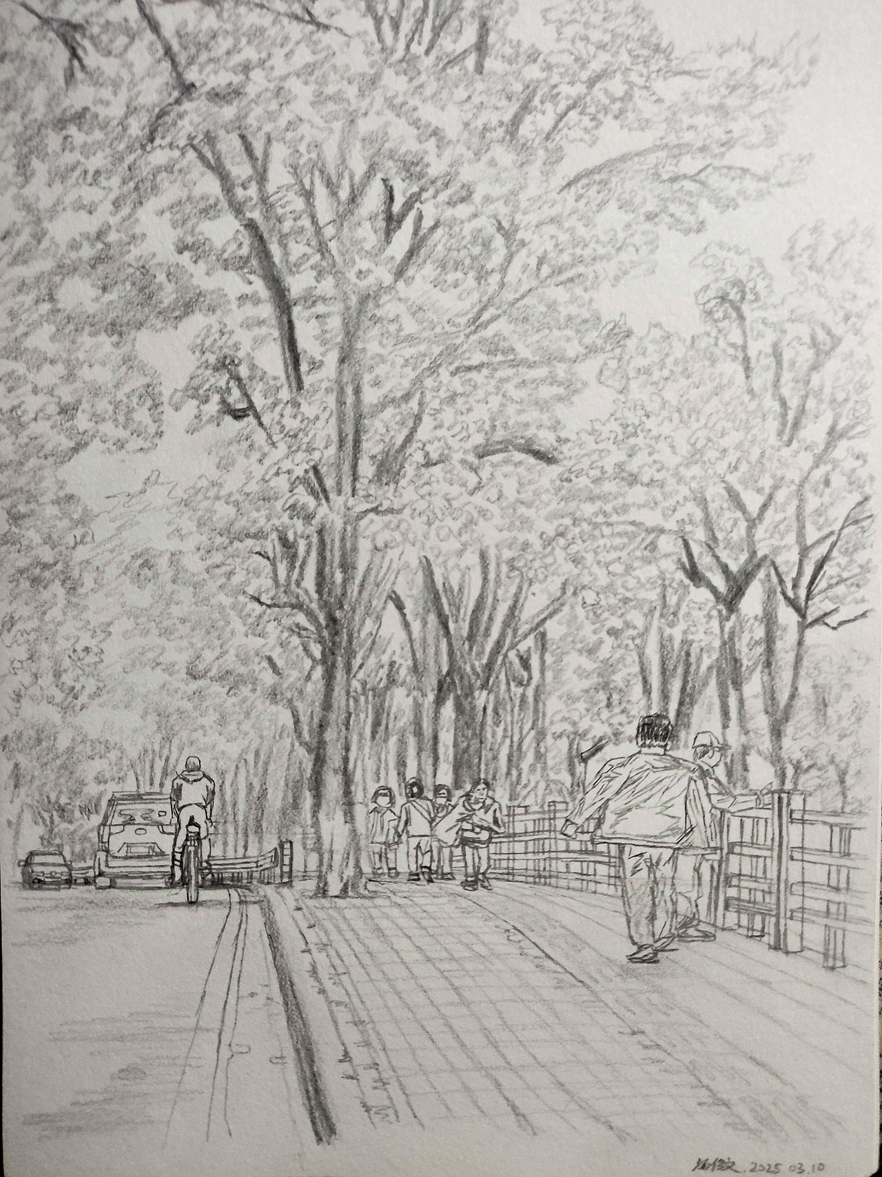 20250309｜麓湖公园步行道盛开的紫荆花（图ZMzg3NjM3NTcy） - 创作习作 - 站酷设计师汤俊文MRTJW原创素材 - 站酷ZCOOL