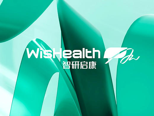 一个AI医疗品牌设计/智能医疗品牌设计-远麦刘斌