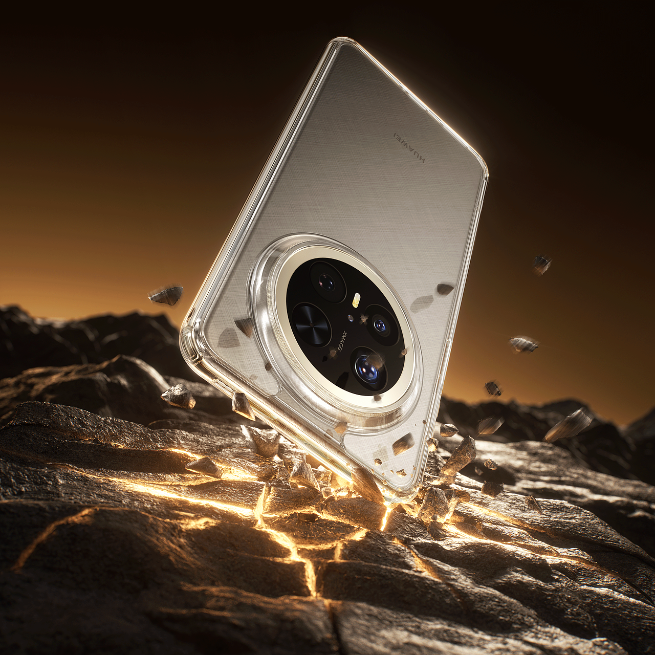 西尼优-TORRAS 工作总结