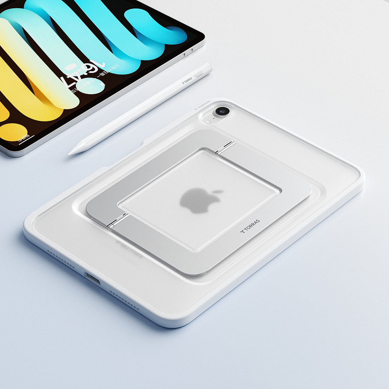 西尼优-TORRAS 工作总结