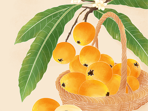 24节气之小满节气枇杷蝴蝶国潮风插画