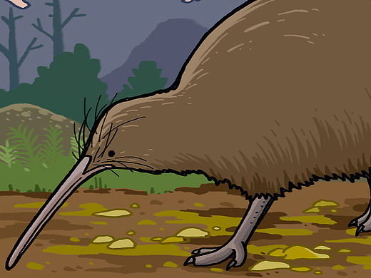 公众号插画——中国国家地理探索