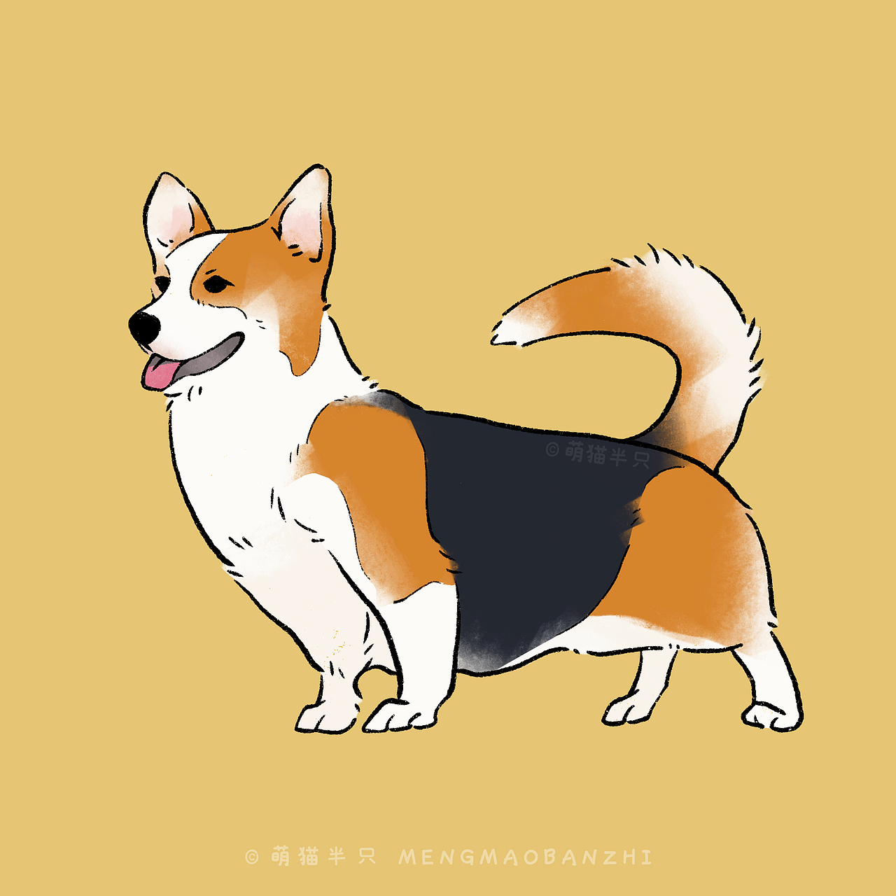 狗狗图鉴(小型犬篇)