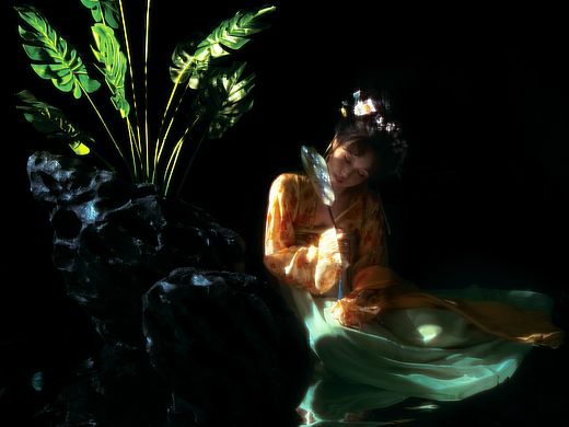「 蝶恋花 」