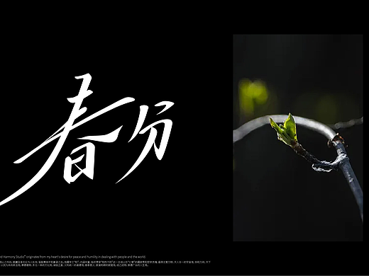 今日春分（个人主页-ZNzE2MTExMTY=） - 字体/字形 - 站酷设计师书正墨字原创素材 - 站酷ZCOOL