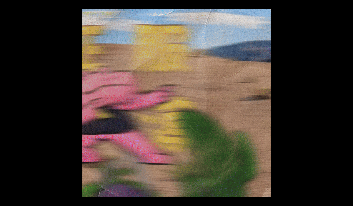 [致奋斗的你]10年前我在站酷种下第一棵树_TANGPION©