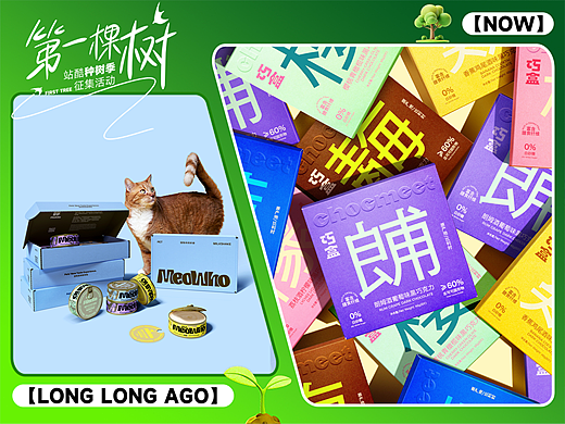 10年前，我在站酷种下第一棵树