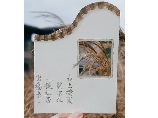 25传统空间美学赏析实践一窗一世界--摄影小景