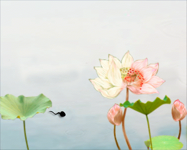 动效设计作品集