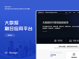 大數(shù)據(jù)融合應(yīng)用平臺(tái)